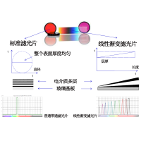線性漸變濾光片是什么？有何特點？