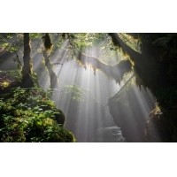 光的干涉、衍射、折射、反射、散射